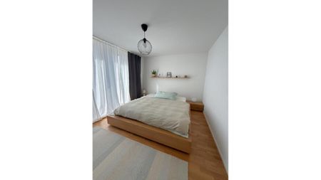 3½ Zimmer-Wohnung in Brunnen (SZ), möbliert, auf Zeit - Photo 3