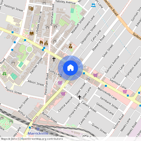 21/236 Illawarra Road, Marrickville NSW 2204