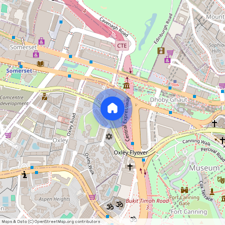 33 Oxley Rise, D09, 238710, Singapore