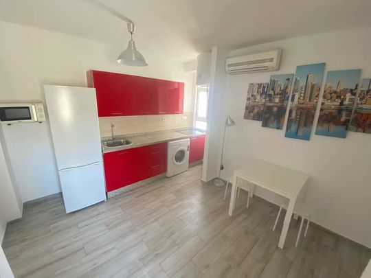 Barriada la Palmilla, Sevilla, Andalusia 41009 - Photo 1