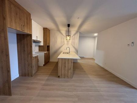 430 Boul. du Bord de l'Eau - Photo 5