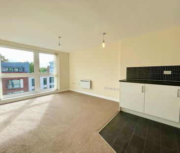 1 Bedroom - Photo 6