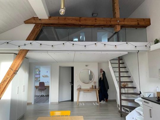 Magnifique appartement de 4.5 pces au centre de Bassecourt - Foto 1