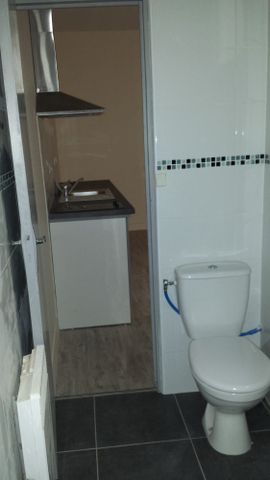 Location Appartement 1 pièce 20m² BORDEAUX 33000 - Photo 4