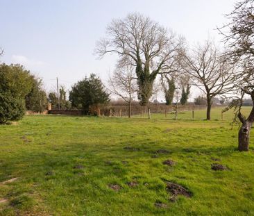 2 bedroom cottage to rent - Photo 4