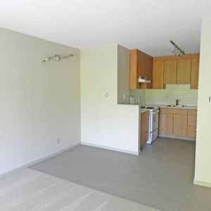 Newly Renovated 1 Bedroom at Pineview Place - Photo 2