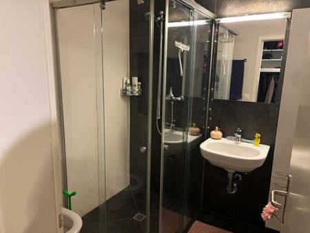 APPARTEMENT 41/2 PIÈCES À BERNE - OSTRING, MEUBLÉ, TEMPORAIRE - Photo 5