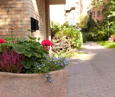 Barkmansgatan 3, Rådmansvången - Foto 5