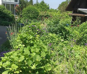 3½ Zimmer-Maisonettewohnung in Frauenfeld (TG), möbliert, auf Zeit - Photo 3
