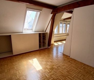 A saisir ! Charmant appartement à louer au coeur de Plainpalais ! - Photo 4