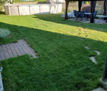 3 ½ avec grande cour privé - Photo 4