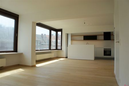 Groot, gemoderniseerd appartement - Foto 2