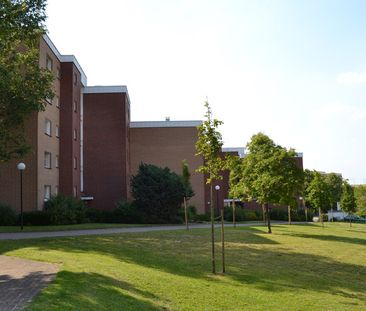 sofort frei! öffentlich geförderte (WBS) 2-Zimmer-Wohnung in Detmol... - Photo 1