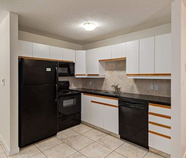 Renovated Suite - 1 Bedroom - Photo 5