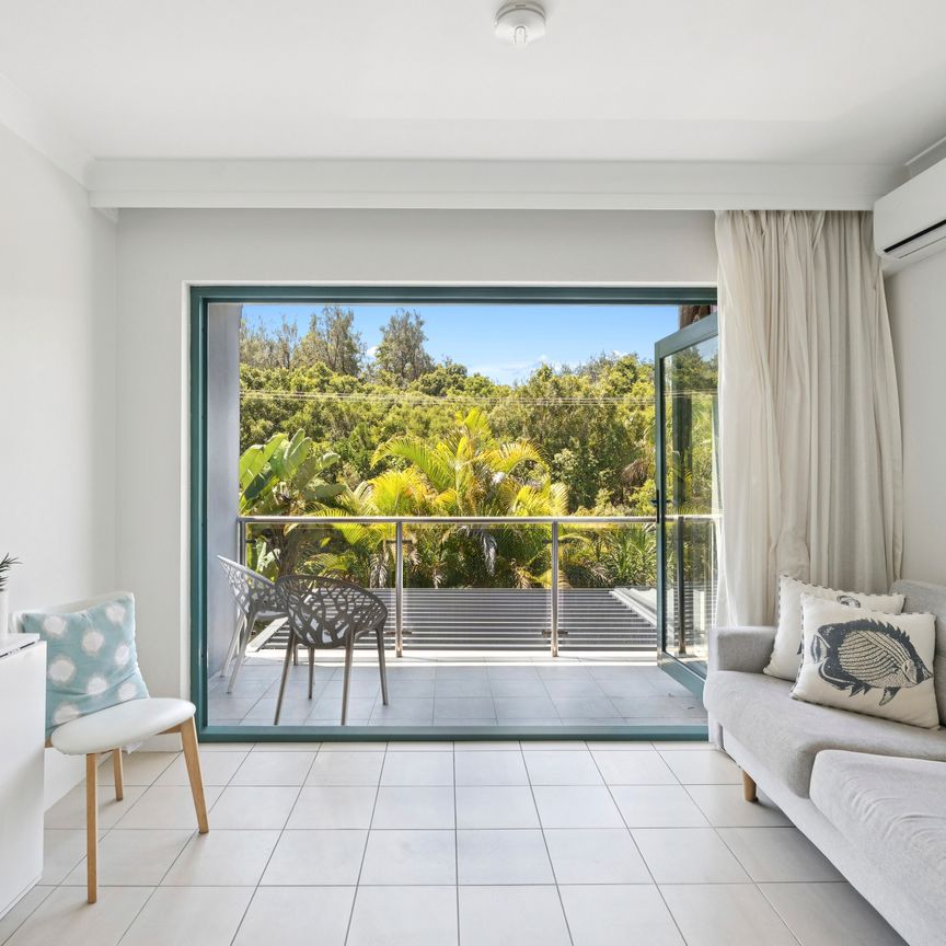 16/21-23 Twenty Second Avenue, Sawtell NSW 2452 - Studio For Rent | Domain - Photo 1