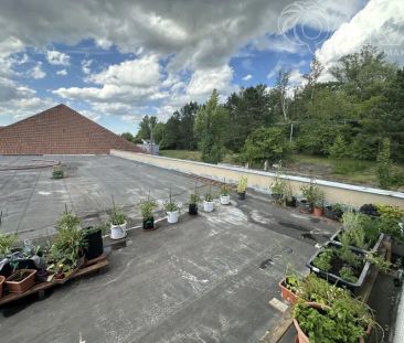 Pronájem pokoje, 12 m - Photo 1