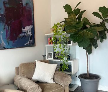 For Lease - 2- 244 Bathurst Street, Toronto, Ontario - Photo 5