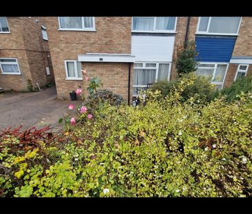 2 Bed Flat, Buckfast Close, LE5 - Photo 4