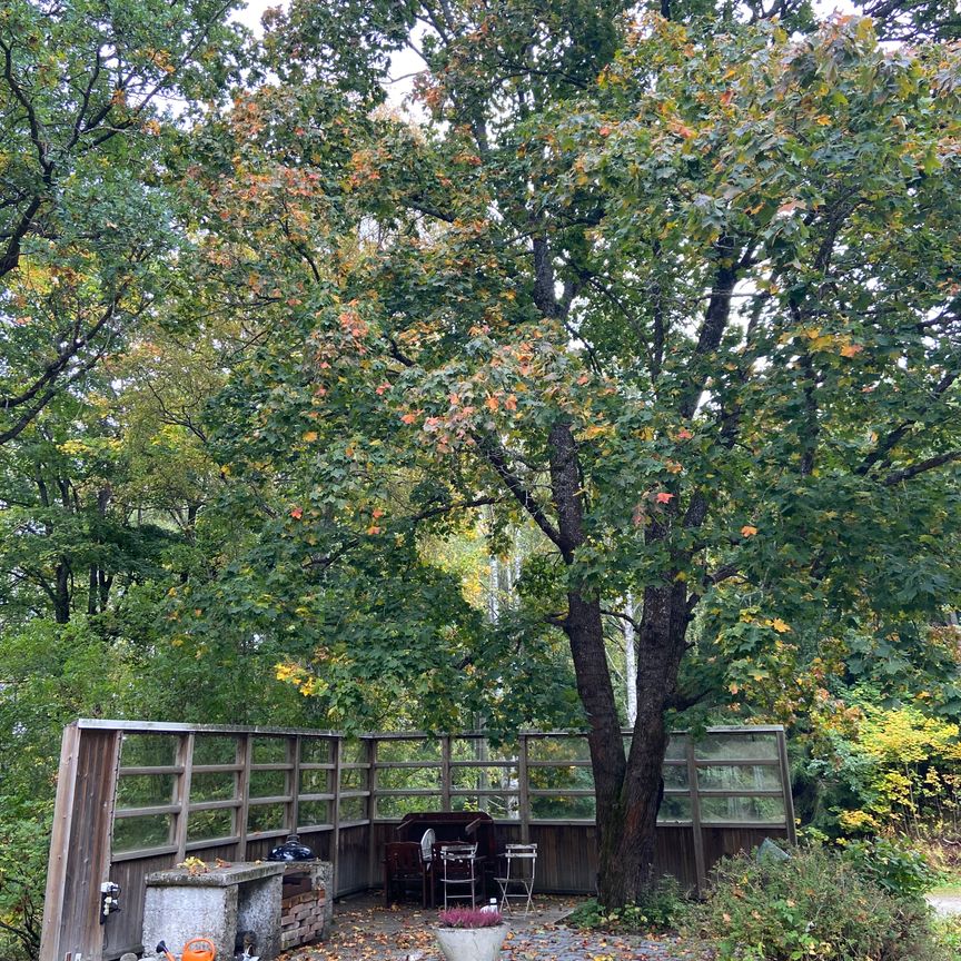 Kiselbacken, Sundsbruk - Foto 1