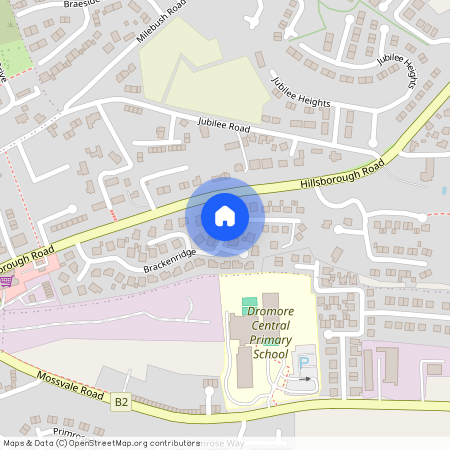 25 Brackenridge, Hillsborough Road, Dromore, BT25 1QF