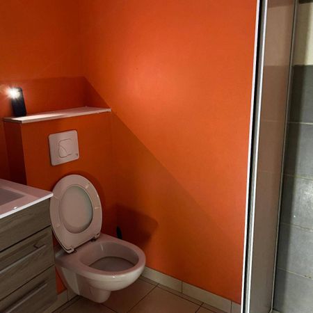 Location appartement 1 pièce 21.08 m² à Les Vans (07140) - Photo 4