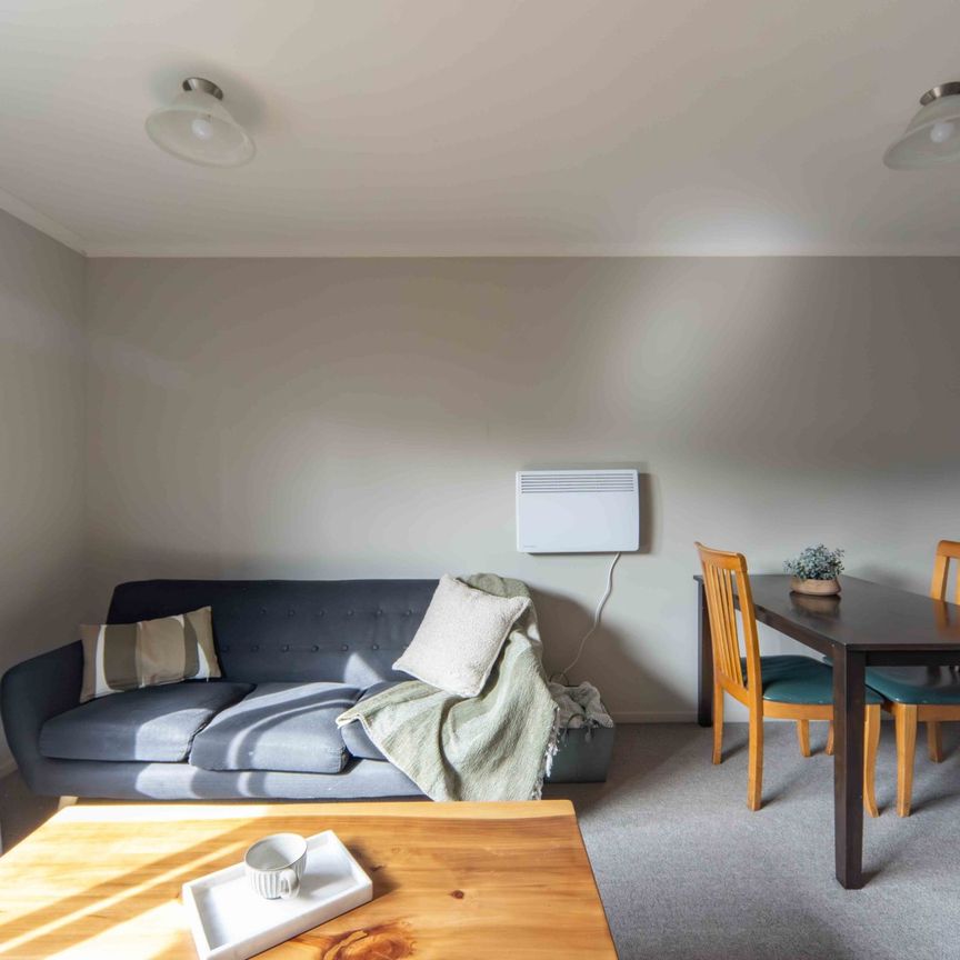 Furnished One Bedroom Apartment - Photo 1