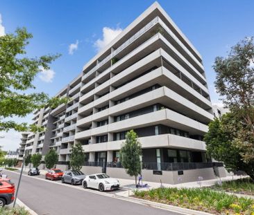 The luxurious fully furnished 1-bedroom apartment in Campbell you have been waiting for! - Photo 1