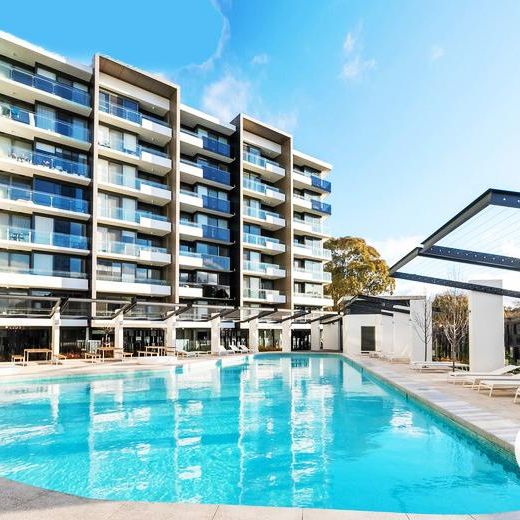 89/7 Irving Street, Phillip ACT 2606 - Apartment For Rent - $620 | Domain - Photo 1
