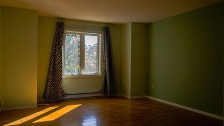 Maison à étages à louer - Gatineau (Gatineau) (Orée des Bois, La Vérendrye, Colline) Maison à étages à louer - Gatineau (Gatineau) (Orée des Bois, La Vérendrye, Colline) - Photo 5