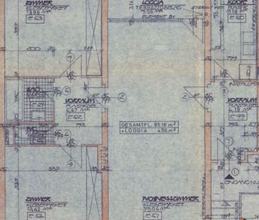 Attraktive 3-Zimmer-Wohnung in Maria Enzersdorf - Ihr neues Zuhause! - Foto 3