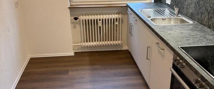 Neu renovierte 3-Zimmer Wohnung in Ansbach /ruhige, zentrale Lage - Foto 1