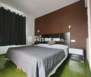Chalet en alquiler en Calle Doctor Agustín Millares Carlo - Photo 3