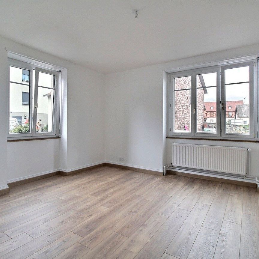 Location Appartement 4 pièces 91m² BARR 67140 - Photo 1