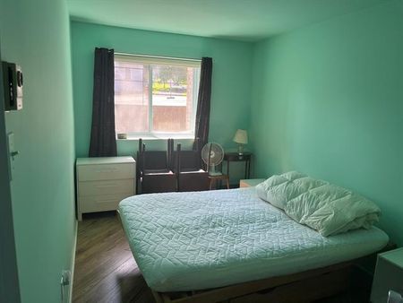 375 Av. du Mont Royal O. - Photo 5