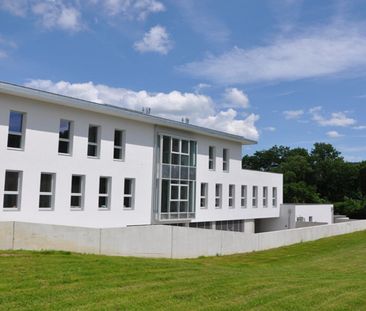 TULLNERBACH I - Foto 3