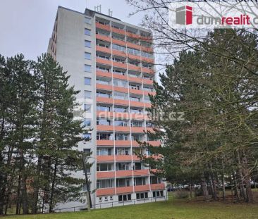 pronájem bytu 1+kk/L, 22 m - Photo 3