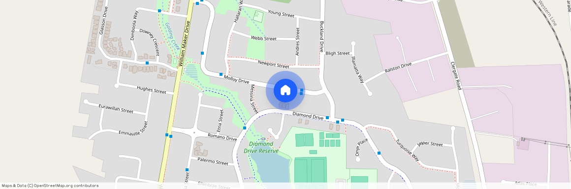 17 Molloy Drive, Orange