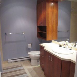 Grand 4 1/2 lumineux, bord de l'eau, solarium, St-Eustache rive-nord - Photo 2