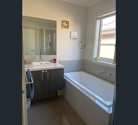 11 Patchouli Street, Truganina, Vic 3029 - Photo 1