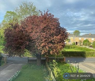 4 bedroom semi-detached house to rent - Photo 5