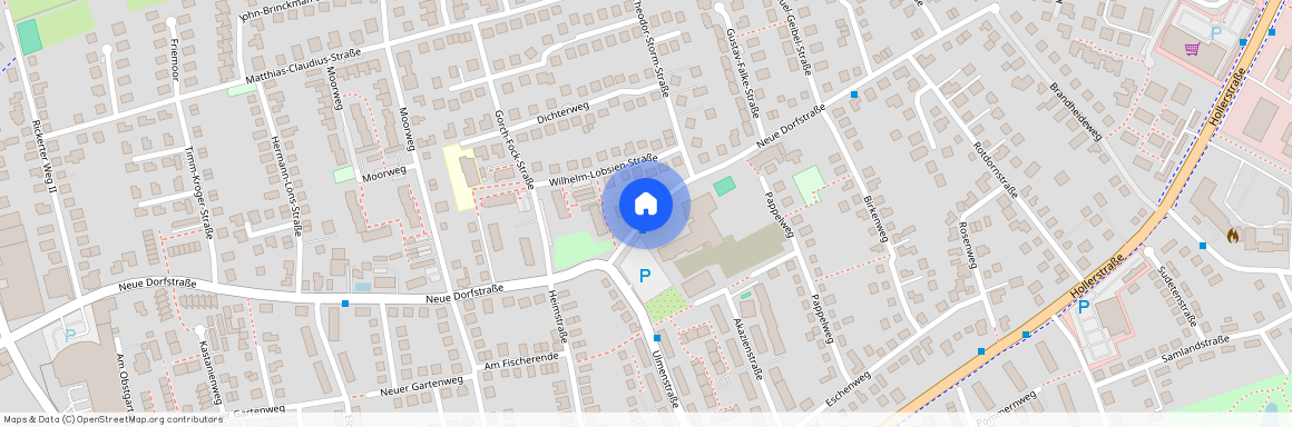 24782 Schleswig-Holstein - Büdelsdorf