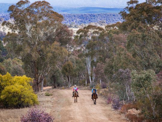 Pretty Awesome - Photo 1