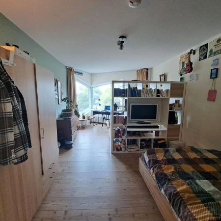 Chambre Balthasar van der Polweg, Delft - À Louer - Foto 4