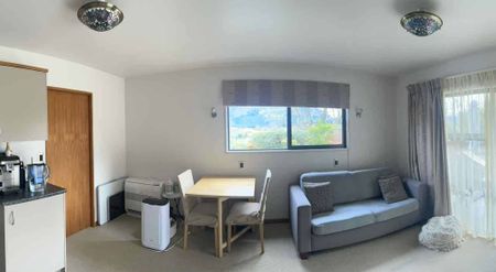 Apartment in Wanaka - Photo 3