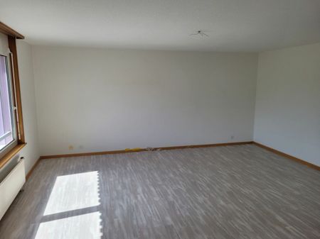 Chemin des Carabiniers 1, 4.5 pièces au 3ème Sud - Foto 3