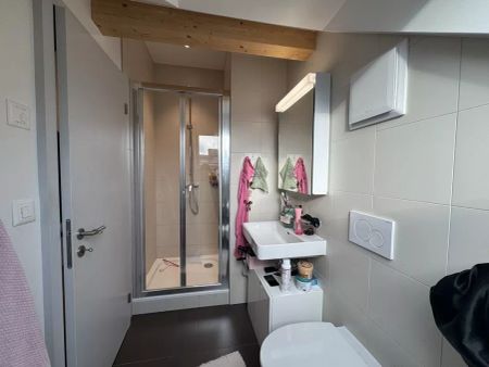 Bel appartement de 3 pièces dans les combles avec poutres apparentes - Photo 2