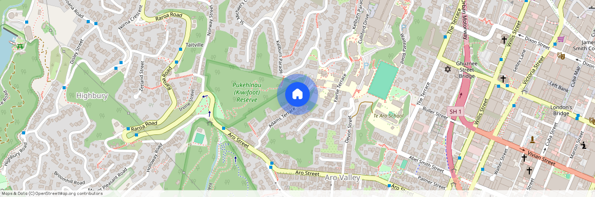 A/41 Adams Terrace, Aro Valley, Wellington City