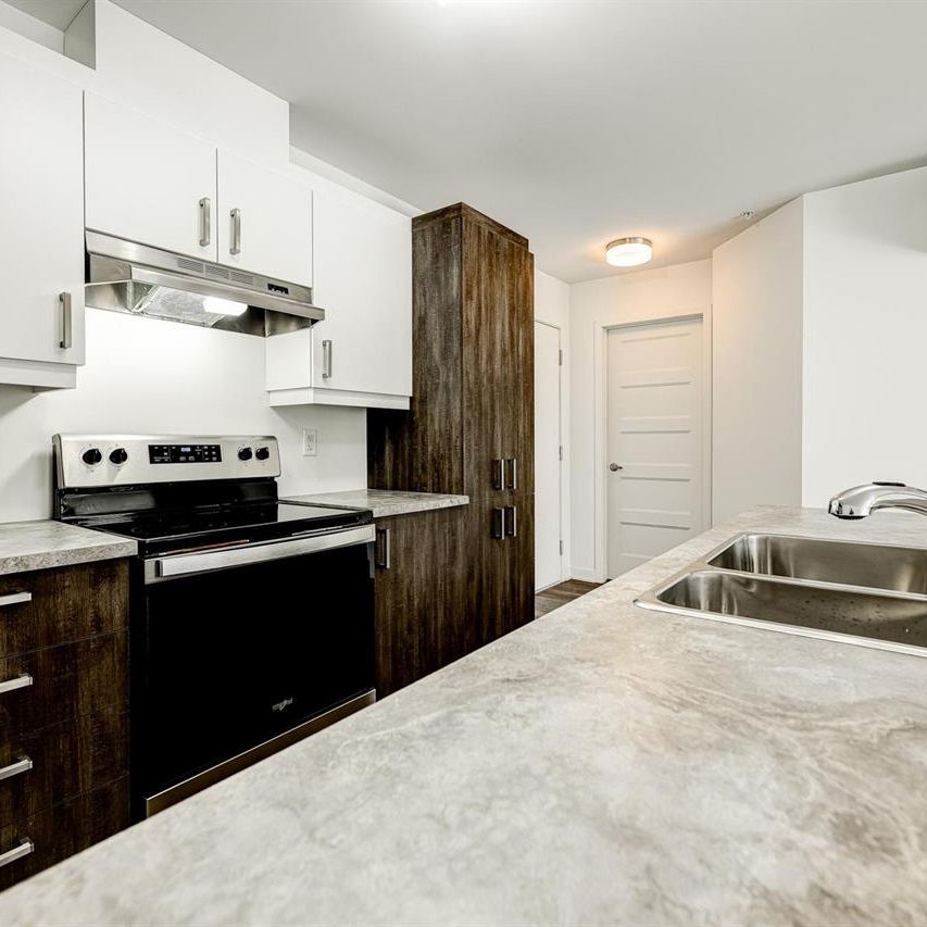 1 Bedroom - 2500 Rue Maurice-Savoie, Longueuil - Photo 2