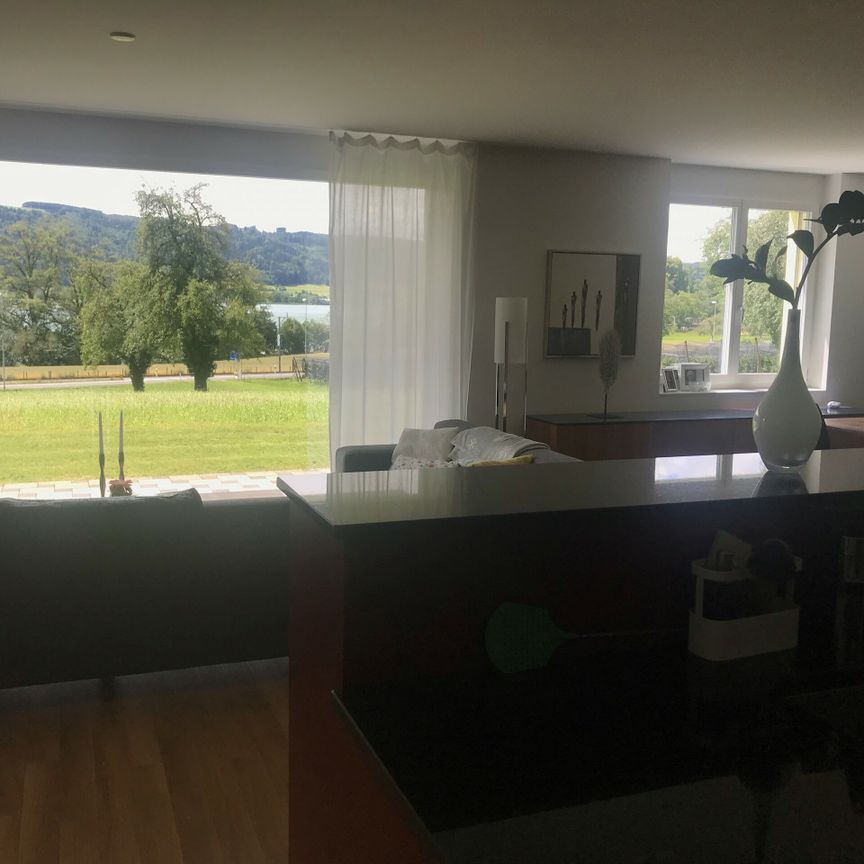 Traumaussicht auf den Baldeggersee - 3.5 Zimmerwohnung im EG - Foto 1