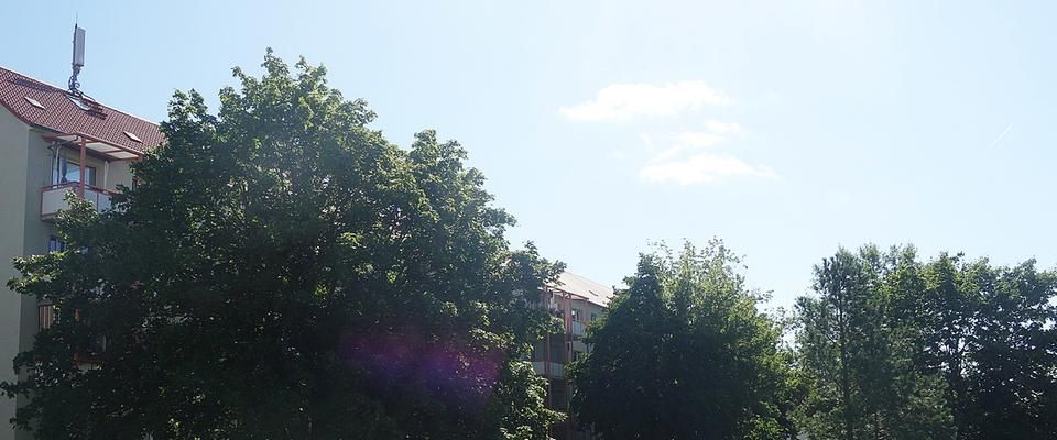 Erstbezug nach Sanierung! Schöne 2-Zimmer-Wohnung mit Dusche, Balkon und Blick ins Grüne in Cracau. - Photo 1